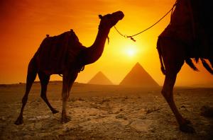 горящие туры в египет